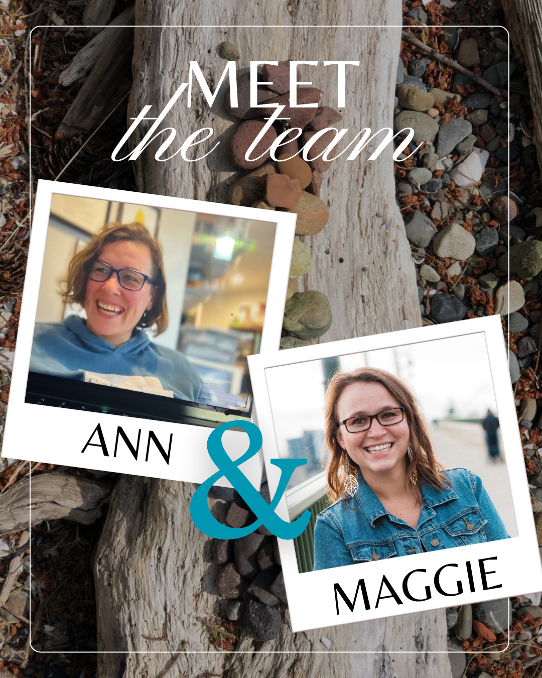 Meet the Team