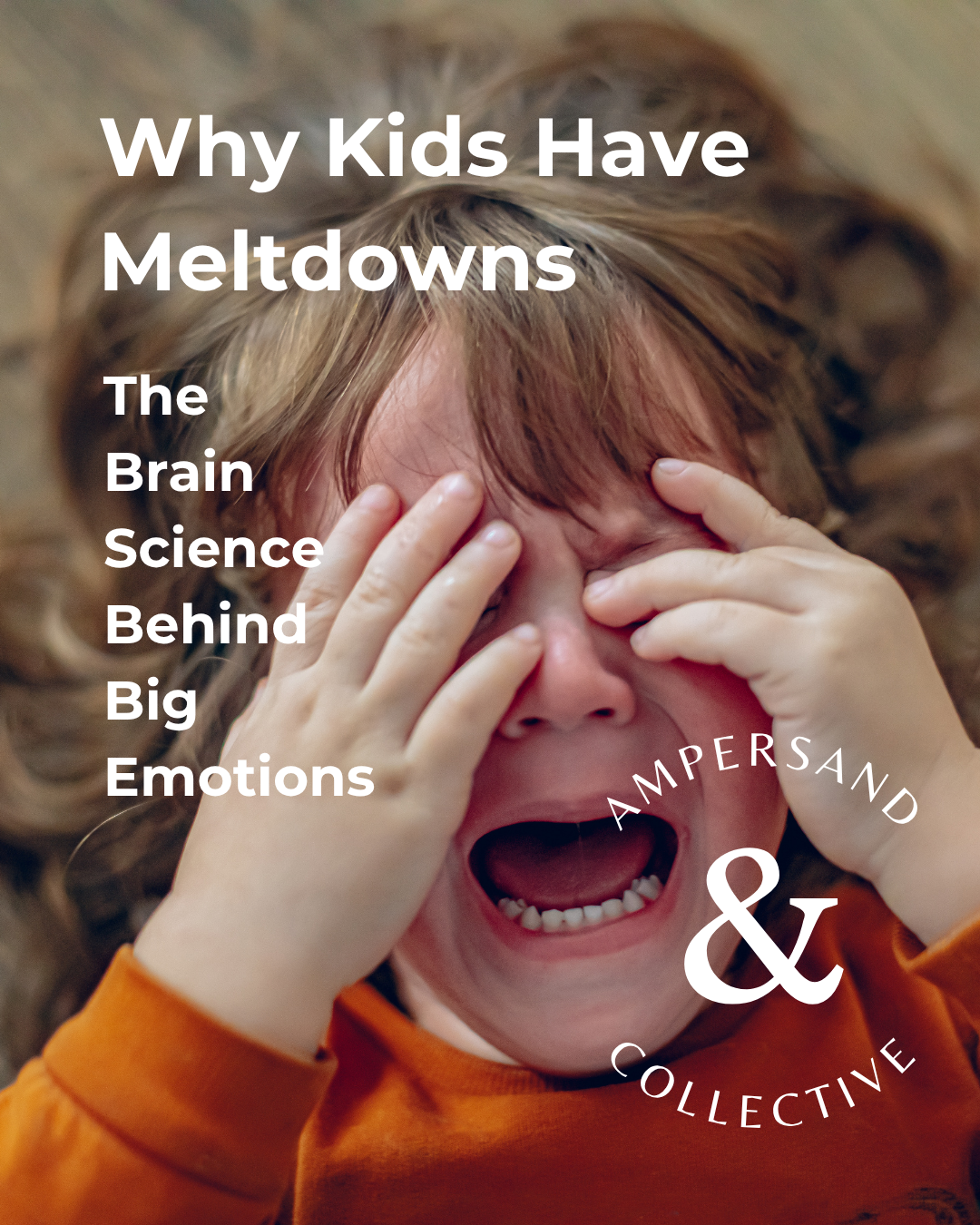 Why Kids Have Meltdowns: The Brain Science Behind Big Emotions.