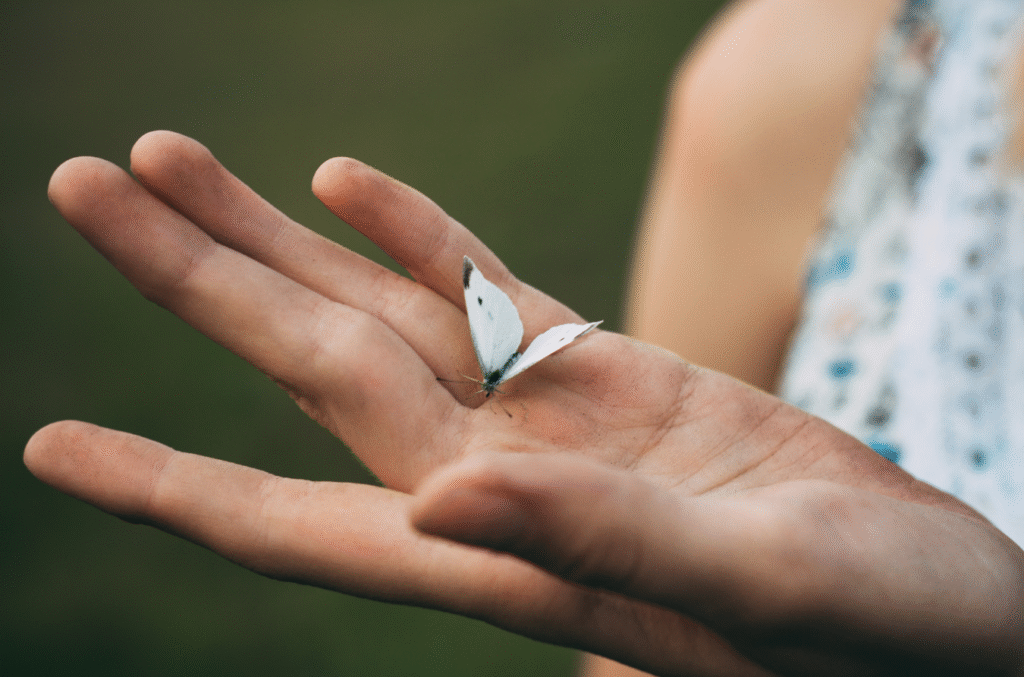 Hand holding a butterfly