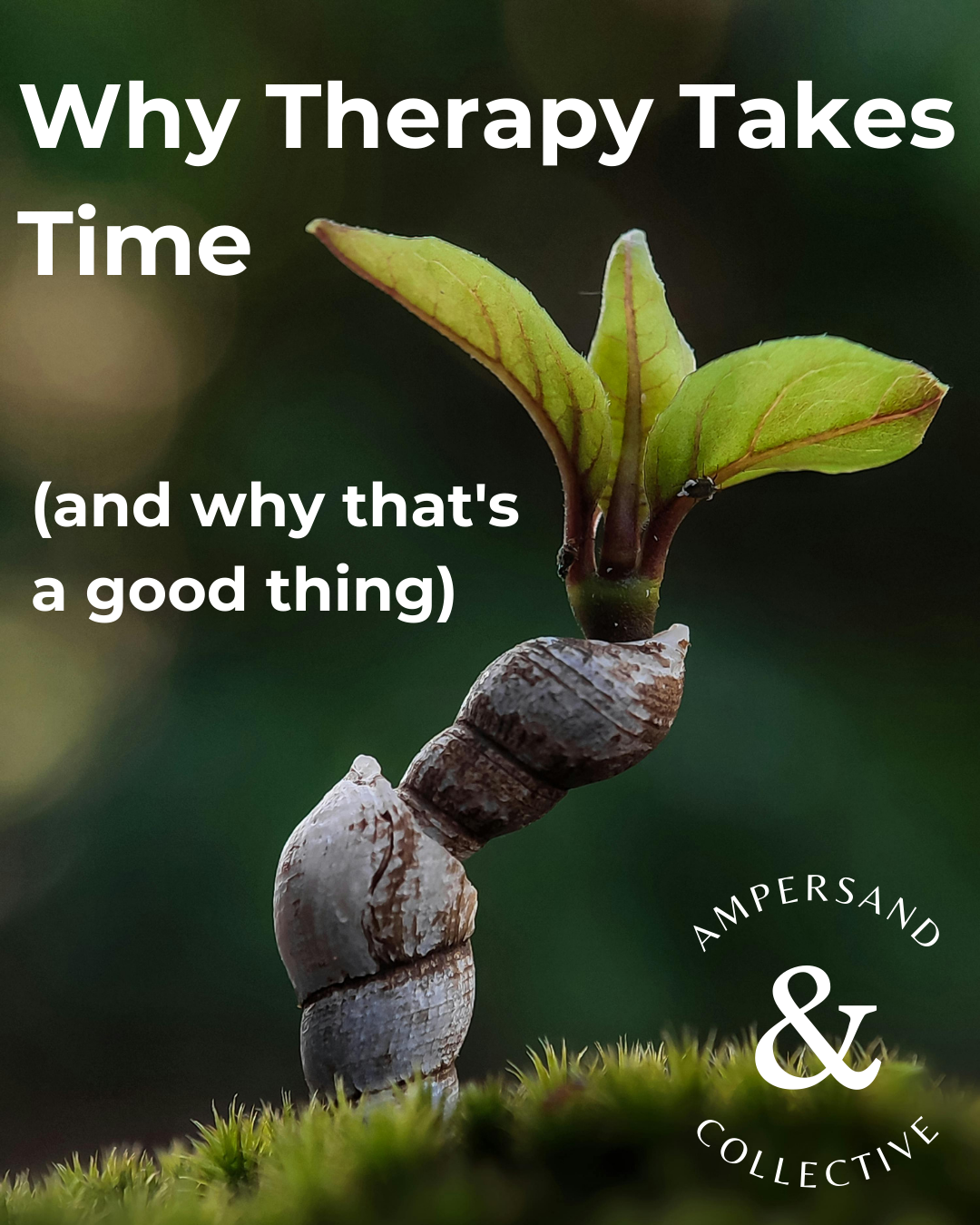 Why Therapy Takes Time (and why that’s a good thing)
